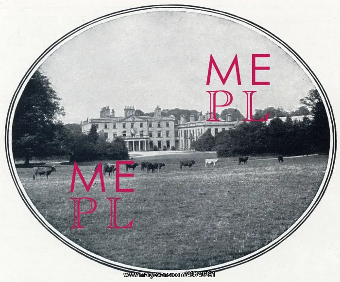 : Weston Park, Shifnal, Shropshire : Weston Park, Shifnal, Shropshire