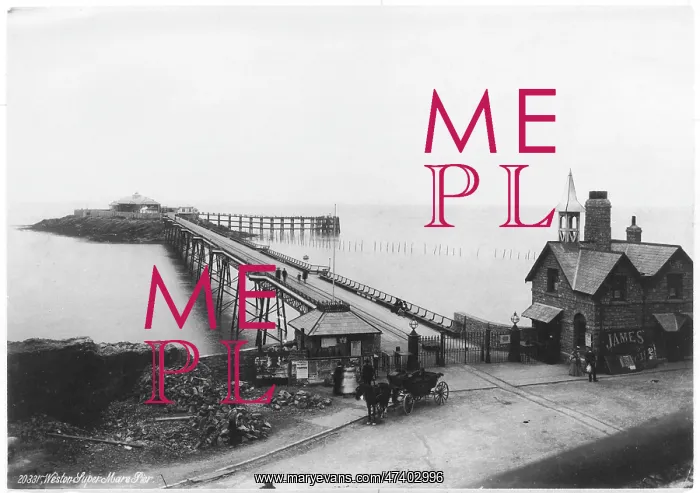  : WESTON-SUPER-MARE - 1888