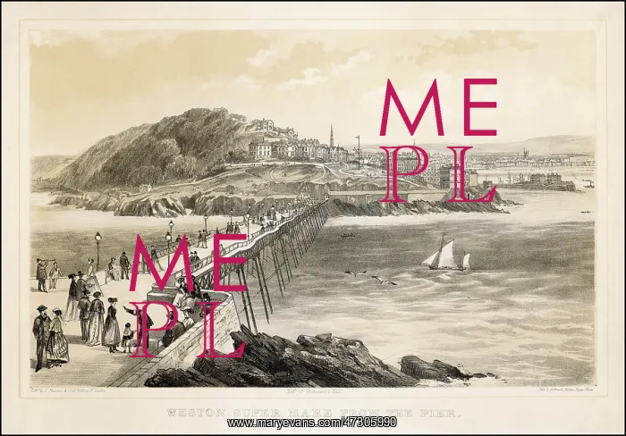  : WESTON-SUPER-MARE / C1870