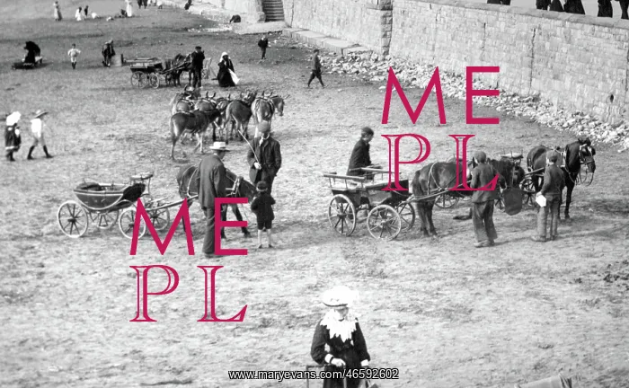  : Weston-super-Mare, Pony Carts on the Sands 1904