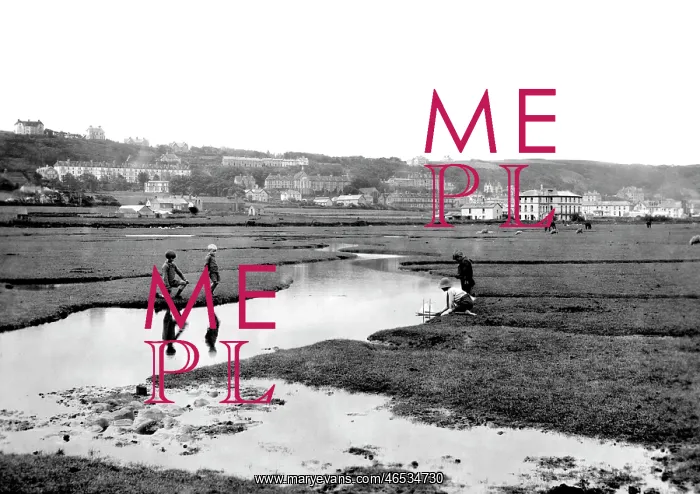  : Westward Ho!, 1919