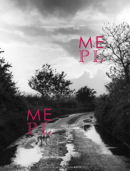 : WET COUNTRY LANE : WET COUNTRY LANE