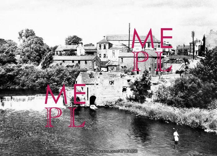 : Wetherby - River Wharfe