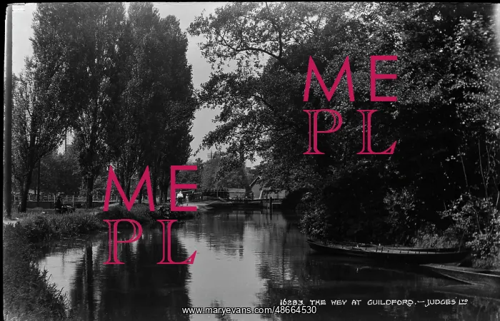  : The Wey at Guildford