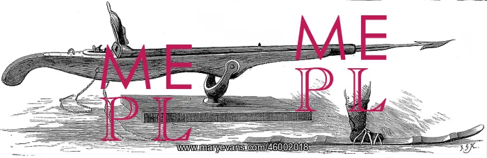 : Whale Gun and Snow-shoe, 1875 : Whale Gun and Snow-shoe, 1875