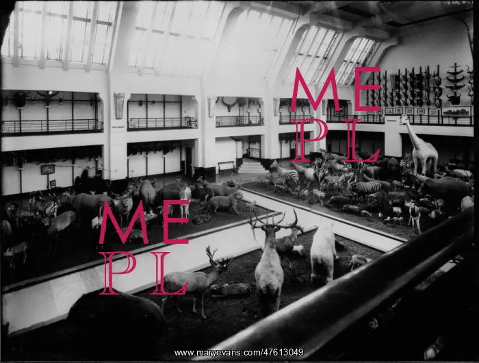 : Whale Hall, 1932 : Whale Hall, 1932