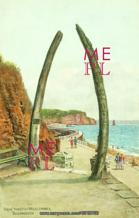 : Whalebones at Teignmouth, Devon : Whalebones at Teignmouth, Devon