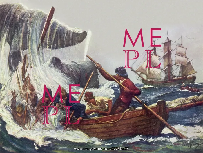  : Whalers in Pursuit