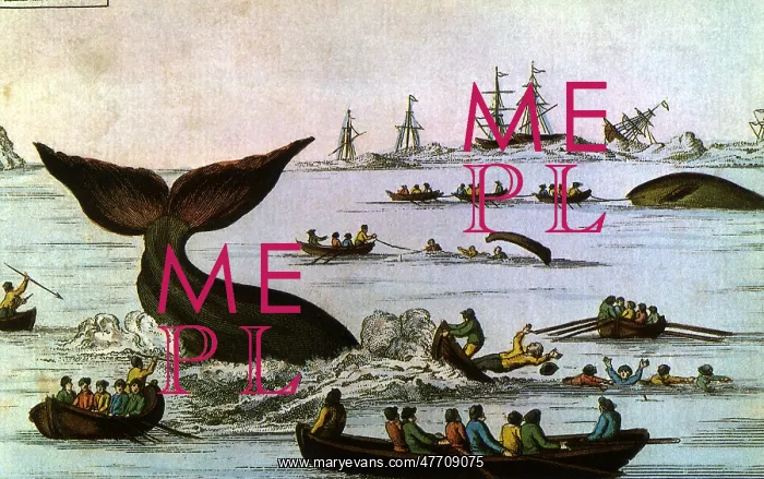 : Whalers in Small Boats