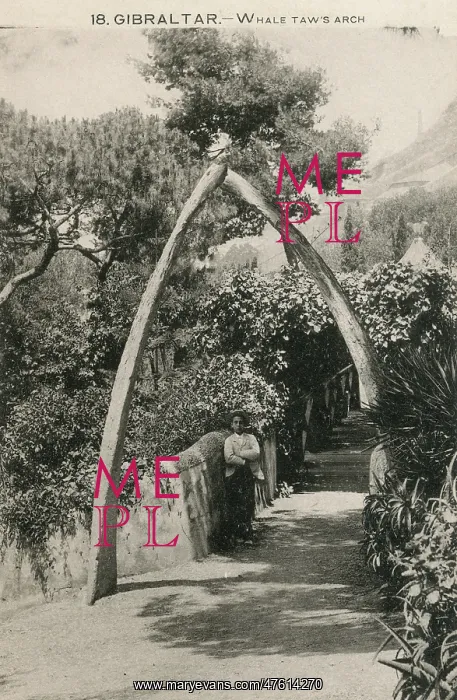 : Whale's Jaw Arch, Gibraltar