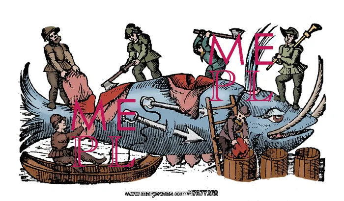 : Whaling, 16th Century : Whaling, 16th Century
