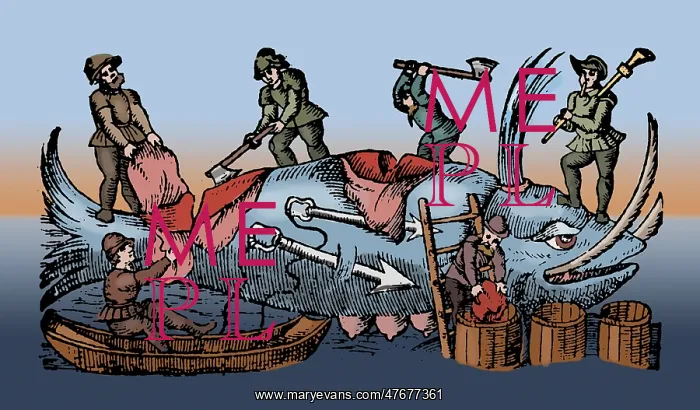 : Whaling, 16th Century : Whaling, 16th Century