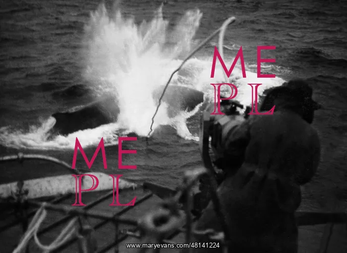  : Whaling, 1938
