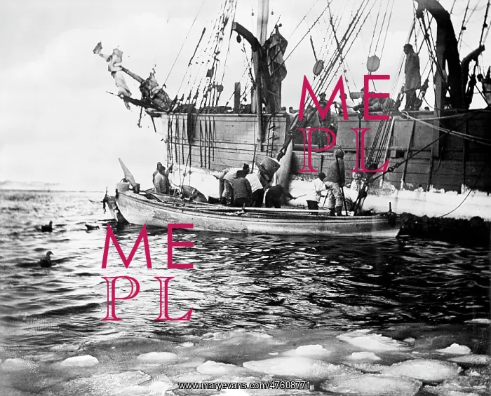 : Whaling boats : Whaling boats