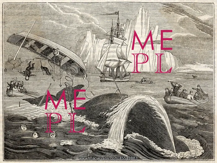 : Whaling - Crew in Danger : Whaling - Crew in Danger