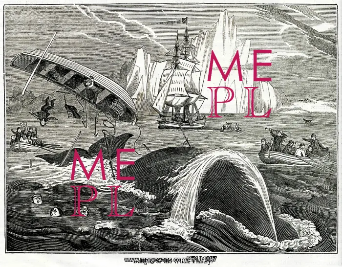 : Whaling - Crew in Danger : Whaling - Crew in Danger