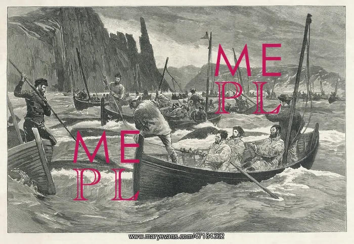  : WHALING / FAROE ISLANDS