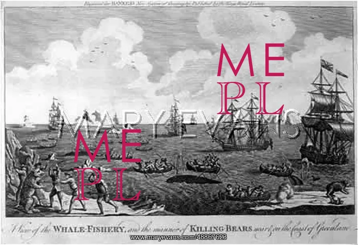 : WHALING IN GREENLAND : WHALING IN GREENLAND