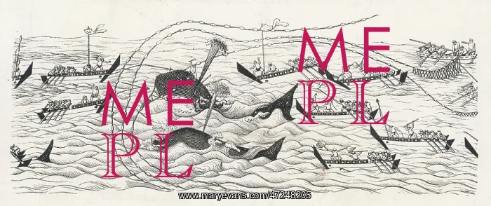  : WHALING IN JAPAN