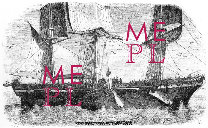 : Whaling in the mid 19th century : Whaling in the mid 19th century