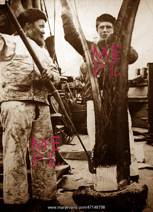 : Whaling ship in the Arctic crew stripping the flesh : Whaling ship in the Arctic crew stripping the flesh