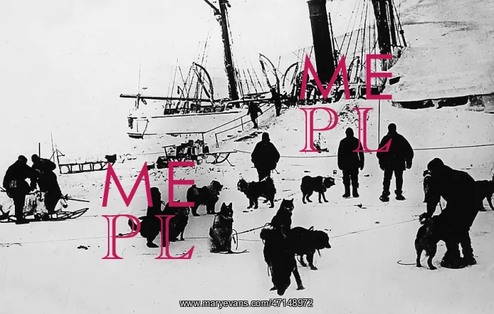 : Whaling ship in the Arctic, trapped in the ice : Whaling ship in the Arctic, trapped in the ice