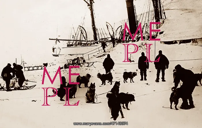  : Whaling ship icebound in the Arctic