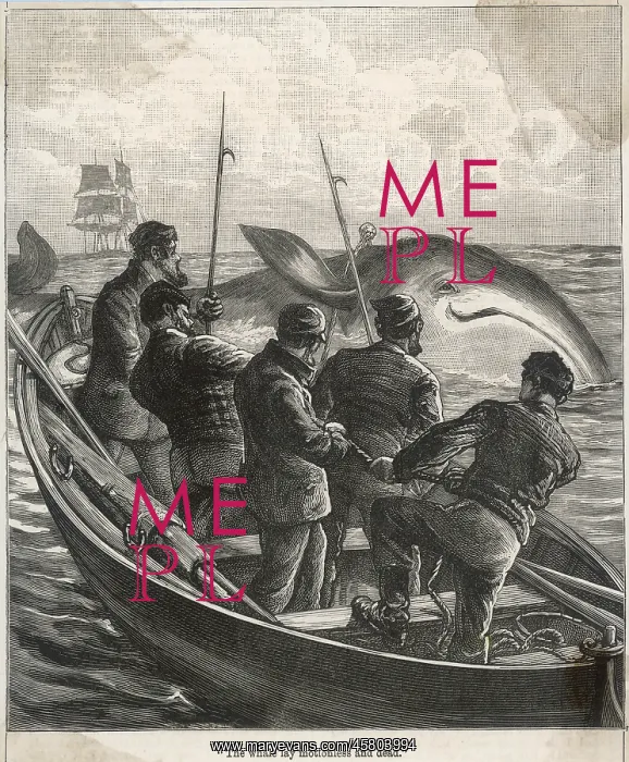  : WHALING FROM SMALL BOAT