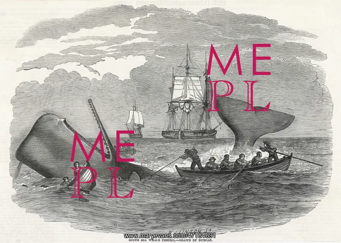 : WHALING / SOUTH SEAS 1847 : WHALING / SOUTH SEAS 1847