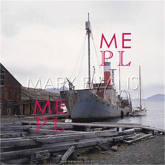 : WHALING VESSEL PETREL : WHALING VESSEL PETREL
