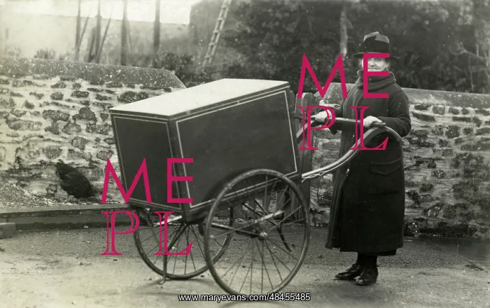 : What's in the Box? : What's in the Box?
