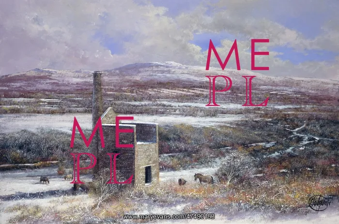 : Wheal Betsy Mine House – snow scene : Wheal Betsy Mine House – snow scene