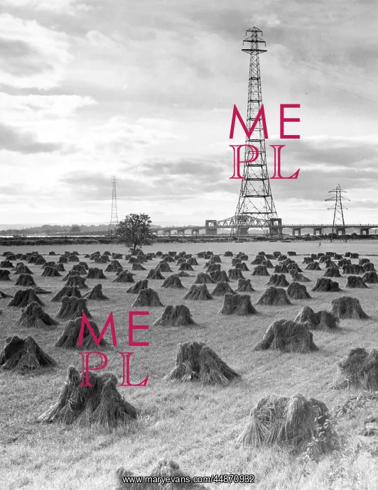 : WHEAT FIELD / PYLONS : WHEAT FIELD / PYLONS