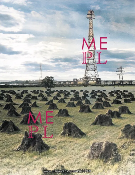 : WHEAT FIELD / PYLONS : WHEAT FIELD / PYLONS