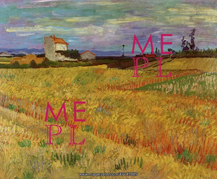  : Wheat Field, by Van Gogh