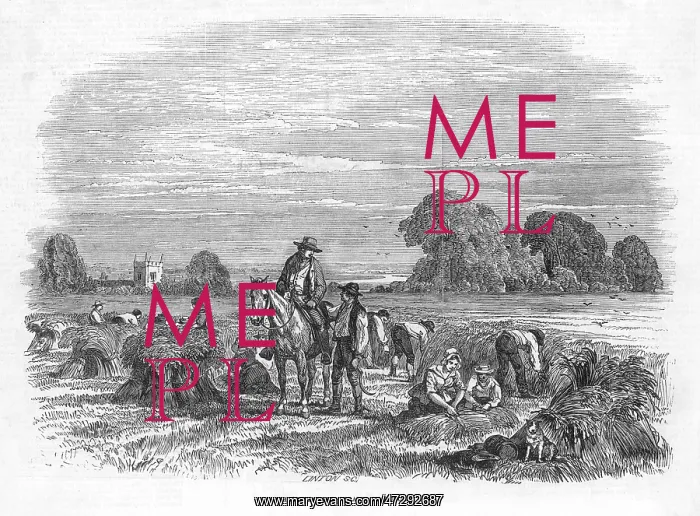: WHEAT HARVEST 1846 : WHEAT HARVEST 1846