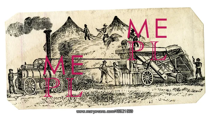 : Wheat Harvest Steam Traction Engine Threshing Machine : Wheat Harvest Steam Traction Engine Threshing Machine
