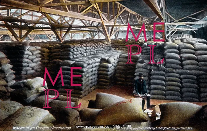 : Wheat in an Oregon Warehouse : Wheat in an Oregon Warehouse