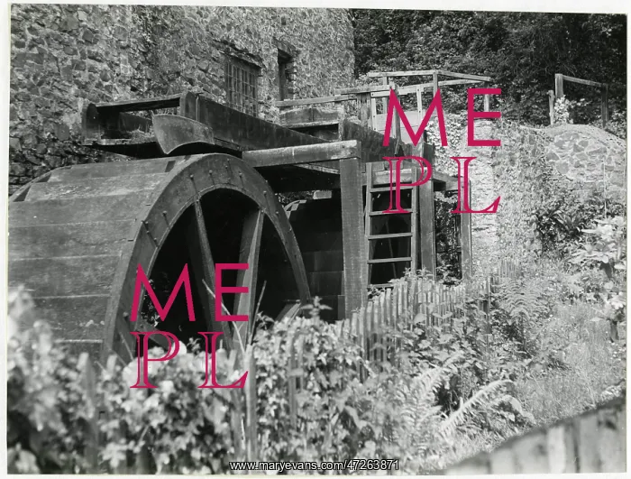  : MILL WHEEL AT DUNSTER