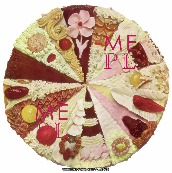  : Wheel of Tart Slices
