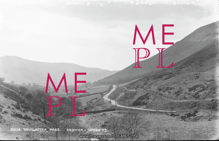 : Whinlatter Pass : Whinlatter Pass