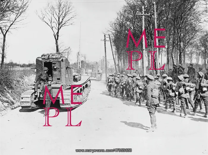 : Whippet Tanks 1918 : Whippet Tanks 1918