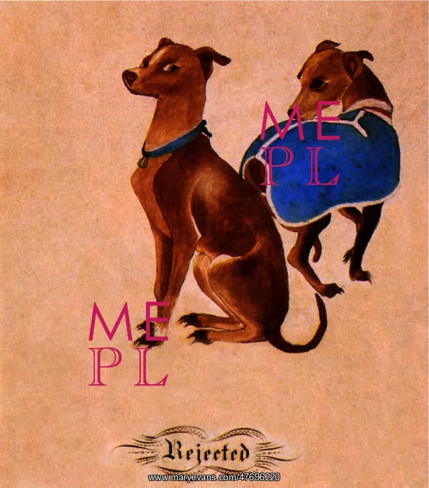  : Two Whippets