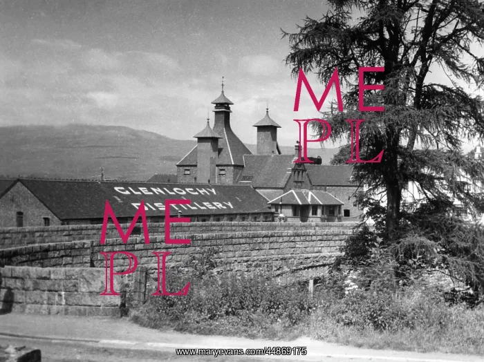 : WHISKY DISTILLERY : WHISKY DISTILLERY