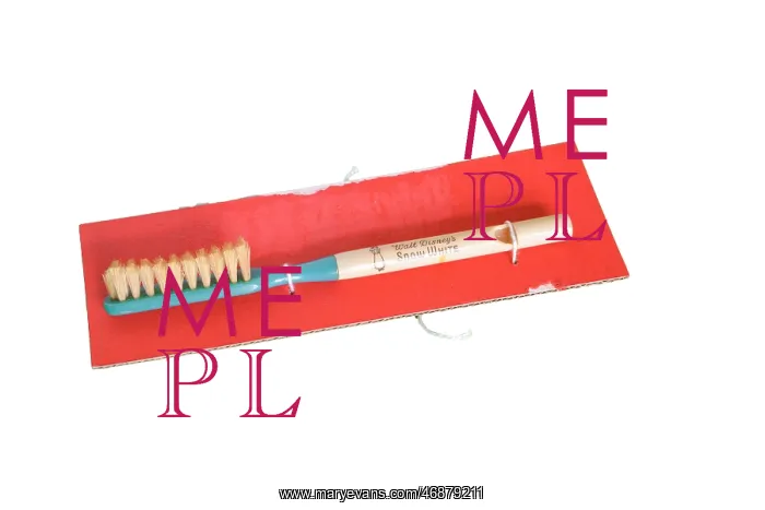  : Whistle Toothbrush
