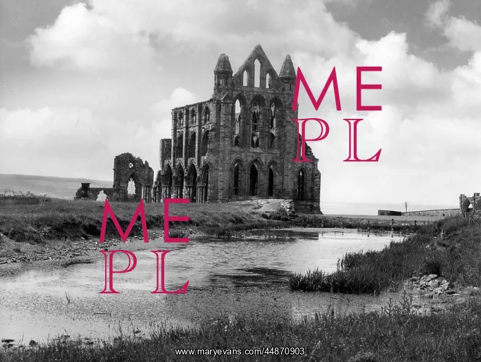 : WHITBY ABBEY : WHITBY ABBEY