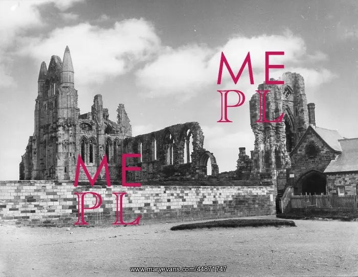 : WHITBY ABBEY : WHITBY ABBEY