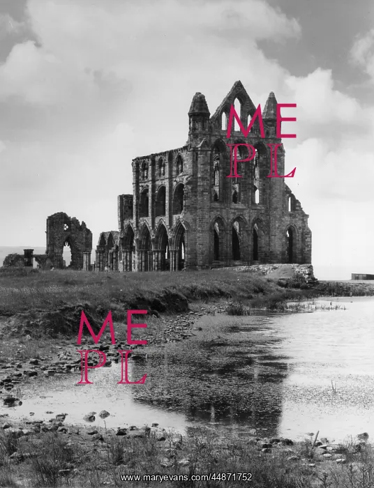 : WHITBY ABBEY : WHITBY ABBEY