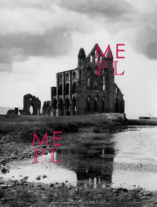 : WHITBY ABBEY : WHITBY ABBEY