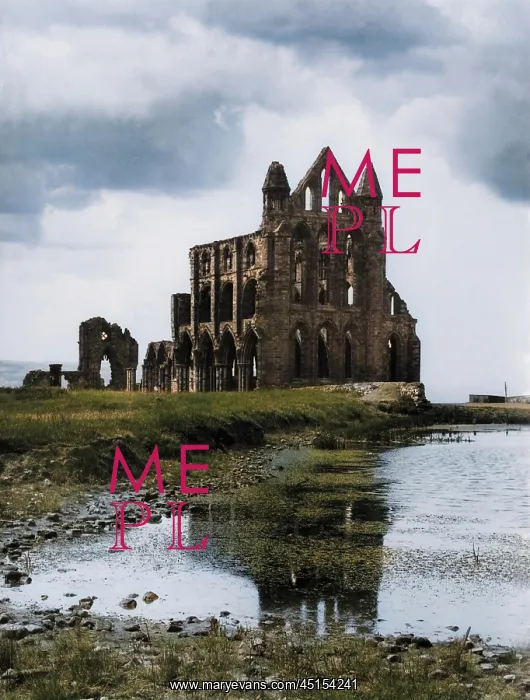 : WHITBY ABBEY : WHITBY ABBEY